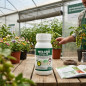 Welgro Cuaje 250cc, amino acids for foliar and root application Welgro Cuaje 250cc, amino acids for foliar and root application