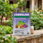 Fungicida battericida preventivo Cobreline 50 grammi