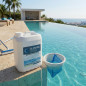 Netoline Desincrustante Línea de Flotación | 5 Litros | Eliminación de Suciedad Piscina