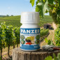 Fungicida Anti-Mofo Panzer 100 ml. Proteção contra mofo em videiras e culturas vinícolas. Fungicida Anti-Mofo Panzer 100 ml. Proteção contra mofo em videiras e culturas vinícolas.