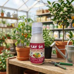 Insecticida Kay 24, 50cc. Tratamiento para Pulgón, Trips, Psila y Plagas en Plantas