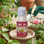 Kay Insektizid 24, 50cc.  Verwenden Sie auf Blattläuse, Thripse, Flohsamen, Beten, Empoasca und andere