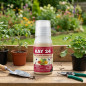 Insecticida Kay 24, 50cc. Tratamiento para Pulgón, Trips, Psila y Plagas en Plantas