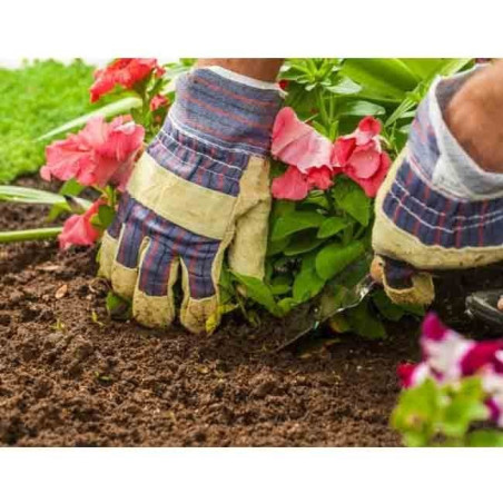 Terriccio per Rinvaso Piante Verdi e Fiorite 20 L Floragard - Stimola la Crescita e Facilita l'enradicamento