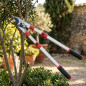 Extendable Aluminum Pruning Shears | High-Reach Pruner for Branches and Trees | Lightweight Gardening Tool Extendable Aluminum Pruning Shears | High-Reach Pruner for Branches and Trees | Lightweight Gardening Tool