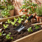Trapiantatrice da giardino stretta con manico in legno | Pala di precisione per il trapianto di piante e fiori