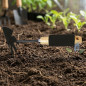 Gartenhacke mit Holzstiel | Landwirtschaftliches Werkzeug für Gemüsegarten und Obstplantage | Ideal zum Graben und Jäten