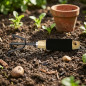 Cultivateur de jardin manuel trois pointes, manche en bois