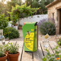 Outdoor wasp trap Outdoor wasp trap