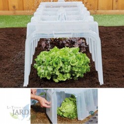 Transparenter Growtunnel 104x40x30 cm UV-beständig