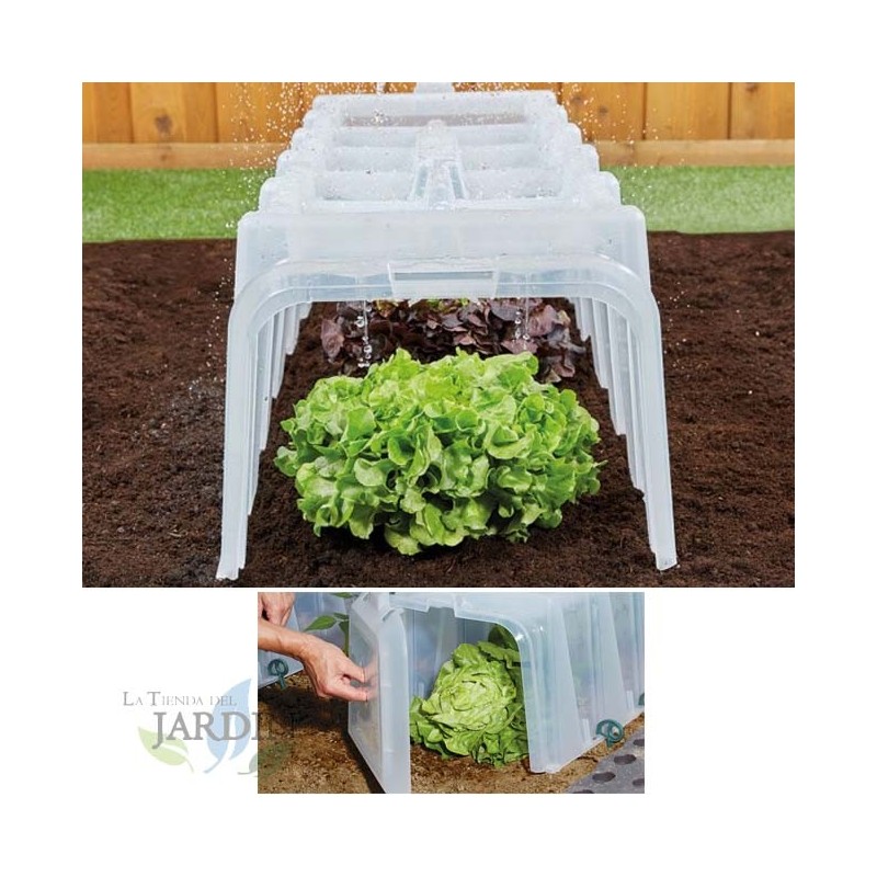 Tunel de cultivo transparente 104x40x30 cm resistente UV