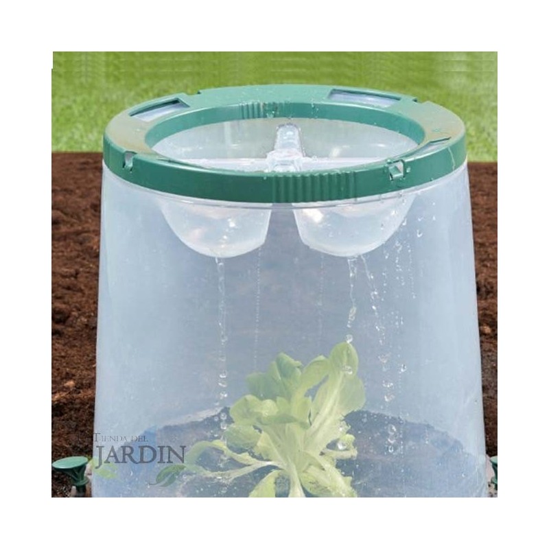 Cube de serre pour plantes et légumes 35x35x30 cm résistant aux UV, transparent