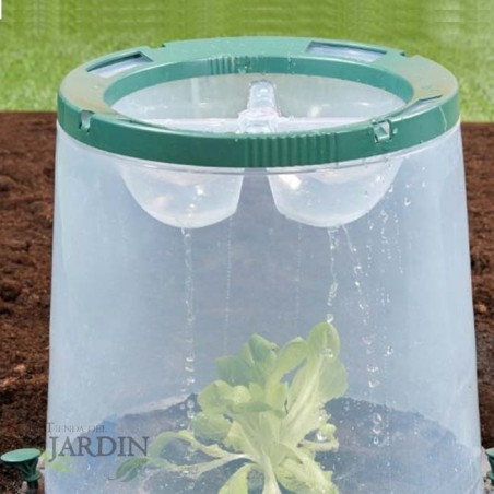 Cube de serre pour plantes et légumes 35x35x30 cm résistant aux UV, transparent