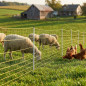 Rede elétrica para coelhos 0,5x50 m | Cercado para galinhas e outros animais de fazenda