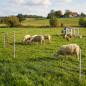 Rede elétrica para coelhos 0,5x50 m | Cercado para galinhas e outros animais de fazenda