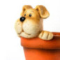 Vaso a forma di cane | Vaso decorativo 19x34,5x24 cm | Vaso per interni/giardino/terrazzo | Ideale per piccole piante Vaso a forma di cane | Vaso decorativo 19x34,5x24 cm | Vaso per interni/giardino/terrazzo | Ideale per piccole piante