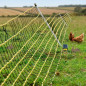 Filet électrique pour lapins 0,5 x 50 m | Enclos pour volailles (poulets et autres animaux de ferme)