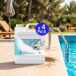 Set di 4 Disinfezione Disinfettante per Piscina in Aerosol da 5 litri Set di 4 Disinfezione Disinfettante per Piscina in Aerosol da 5 litri