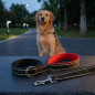 Laisse réfléchissante pour chien 200cm rouge, pour la protection des animaux