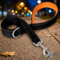 Guia refletora para cães, 200 cm, laranja | Guia para passear com seu pet | Maior visibilidade e segurança durante os passeios Guia refletora para cães, 200 cm, laranja | Guia para passear com seu pet | Maior visibilidade e segurança durante os passeios
