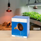Lampe infrarouge 100 W | Ampoule chauffante pour cultures et bien-être animal | Émetteur de chaleur pour serres