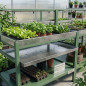 Bandeja Inferior 72x72x5 cm | Bandeja para Mesas de Cultivo | Accesorio para Almacenamiento y Organización de Plantas Bandeja Inferior 72x72x5 cm | Bandeja para Mesas de Cultivo | Accesorio para Almacenamiento y Organización de Plantas