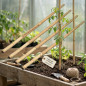 Pack of 4 Plant Support Stakes for Raised Beds 1x1x153 cm | Plant Support and Organization Rods | Plant Stakes