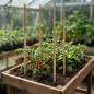 Pack of 4 Plant Support Stakes for Raised Beds 1x1x153 cm | Plant Support and Organization Rods | Plant Stakes
