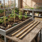 Conjunto de 4 estacas de suporte para plantas em canteiros elevados, 1x1x153 cm | Hastes de suporte e organização para plantas | Conjunto de 4 estacas de suporte para plantas em canteiros elevados, 1x1x153 cm | Hastes de suporte e organização para plantas |