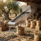 Tamis à olives 160 x 50 x 150 cm | Machine de tri et de nettoyage des olives | Sélection rapide
