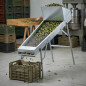 Olive Sieve 160x50x150 cm | Olive Sorting and Cleaning Machine | Quick Selection Olive Sieve 160x50x150 cm | Olive Sorting and Cleaning Machine | Quick Selection