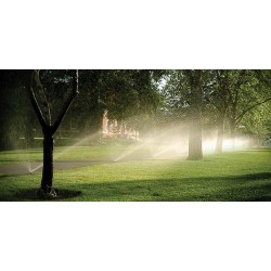 Set di 15 Diffusori di Irrigazione Hunter PSU-02-15A con Ugello Regolabile 15A. Portata di 4,6 metri. Altezza dello stelo di 5cm