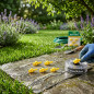 Buse jaune Rain Bird MaxiPaw | Lot de 5 buses d'arrosage | Buses d'irrigation | Pièces de rechange pour arroseur MaxiPaw
