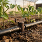 Válvula de corte para irrigação por gotejamento marrom de 10 mm | Pacote com 6 válvulas de fechamento de 10 mm | Conexão para tu Válvula de corte para irrigação por gotejamento marrom de 10 mm | Pacote com 6 válvulas de fechamento de 10 mm | Conexão para tu
