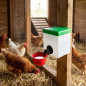 Abreuvoir 1 litre | Poules | Volaille | Ferme | Animaux | Dimensions : 18 x 9 x 19 cm, robuste et pratique Abreuvoir 1 litre | Poules | Volaille | Ferme | Animaux | Dimensions : 18 x 9 x 19 cm, robuste et pratique
