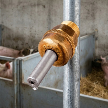 Bebedero automático chupete latón para animales. Alimentación eficiente y duradera para cerdos y otros animales