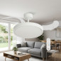 107cm Retractable Ceiling Fan | 3 Transparent Blades | 6 Speeds | Ceiling Fan for Home
