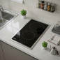 Plaque de cuisson vitrocéramique Beko 2 zones 49 x 27 cm | Plaque de cuisson encastrable Plaque de cuisson vitrocéramique Beko 2 zones 49 x 27 cm | Plaque de cuisson encastrable
