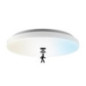 Circular LED Ceiling Light 30cm 18W 1800lm | Motion Sensor | LED Ceiling Lamp Circular LED Ceiling Light 30cm 18W 1800lm | Motion Sensor | LED Ceiling Lamp