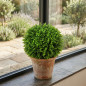 Sphère décorative Bellver 33 cm | Boule pour plantes d'intérieur et d'extérieur | Aspect naturel | Accessoire décoratif