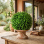 Sfera decorativa Bellver 33 cm | Palla per piante da interno ed esterno | Aspetto naturale | Accessorio decorativo