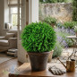Sfera decorativa Bellver 33 cm | Palla per piante da interno ed esterno | Aspetto naturale | Accessorio decorativo