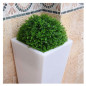 Sphère décorative Jasmin 38 cm | Boule pour plante d'intérieur et d'extérieur | Aspect naturel | Accessoire décoratif