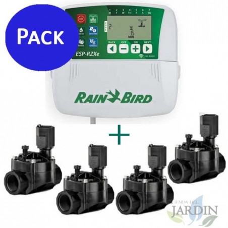 Rain Bird RZX controller 4 indoor zones + 4 Solenoid valves 100HV 24V 1 "