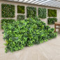 Pack of 4 Mahonia Vertical Gardens 50x50 cm | Artificial Plant | Indoor/Outdoor Wall Decoration | Vertical Gardens Pack of 4 Mahonia Vertical Gardens 50x50 cm | Artificial Plant | Indoor/Outdoor Wall Decoration | Vertical Gardens