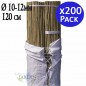 500 x Tuteur en Bambou 120 cm, 10-12 mm, Tubes en Bambou pour Plantes et Arbres, Baguettes de bambou, Canne de bambou, Tuteurs