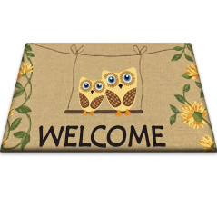 Tapis de bienvenue 40 x 60 cm | Tapis antidérapant et résistant | Matériau flexible et recyclable | Idéal pour l'entrée de la ma
