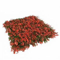 Natus Vertical Garden 50 x 50 cm.