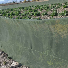 Filet brise-vent vert 1 x 100 m | Filet de protection pour cultures, vergers et jardins | Réduit l'impact du vent