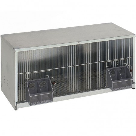 Gabbia per piccioni con 2 scomparti